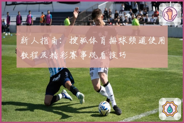 新人指南：搜狐体育排球频道使用教程及精彩赛事观看技巧