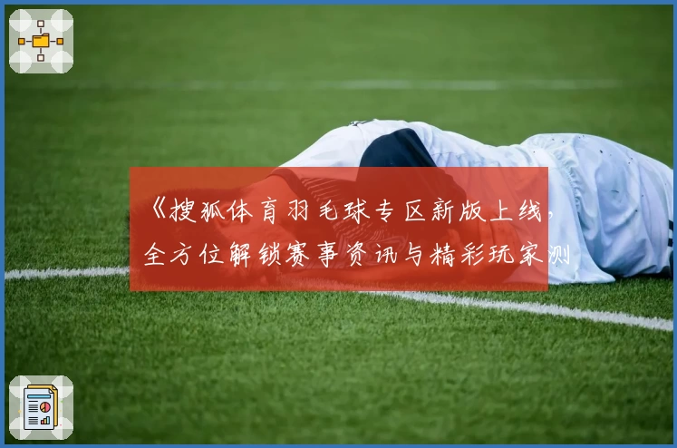 《搜狐体育羽毛球专区新版上线，全方位解锁赛事资讯与精彩玩家测评》