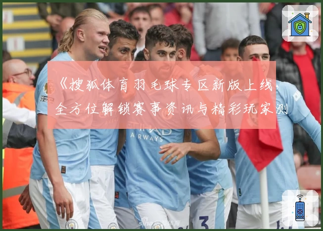 《搜狐体育羽毛球专区新版上线，全方位解锁赛事资讯与精彩玩家测评》