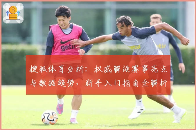 搜狐体育分析：权威解读赛事亮点与数据趋势，新手入门指南全解析