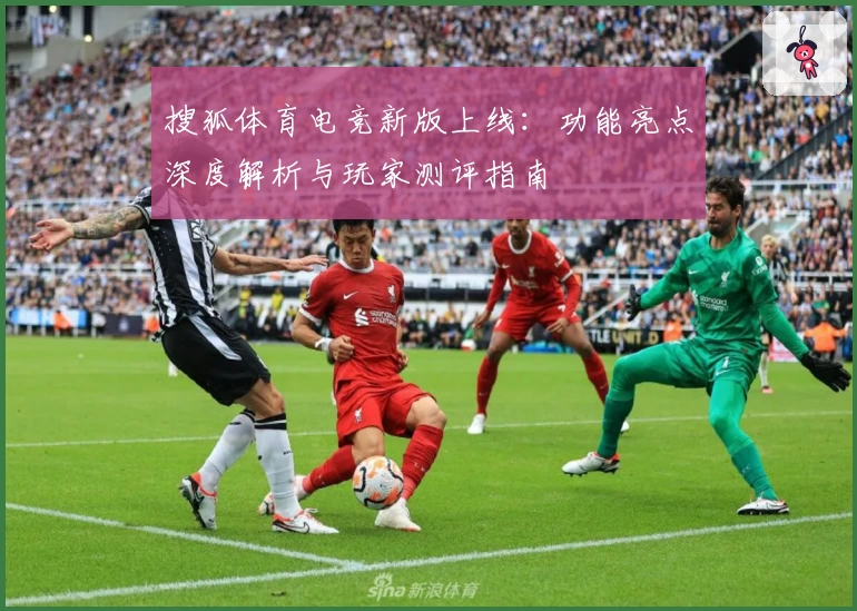搜狐体育电竞新版上线：功能亮点深度解析与玩家测评指南