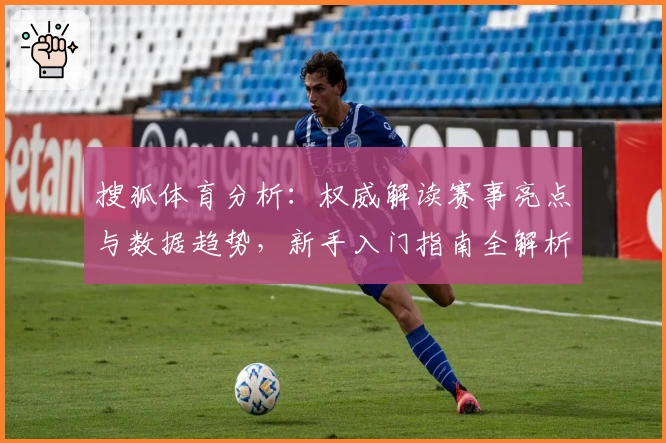 搜狐体育分析：权威解读赛事亮点与数据趋势，新手入门指南全解析