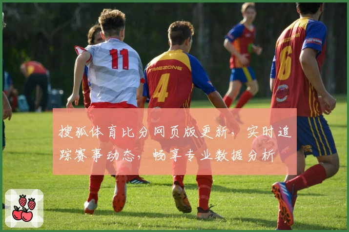 搜狐体育比分网页版更新,实时追踪赛事动态,畅享专业数据分析